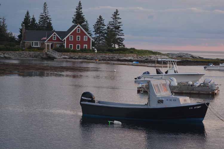 cove with boats